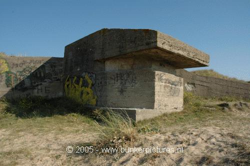 © bunkerpictures - Type Vf observation